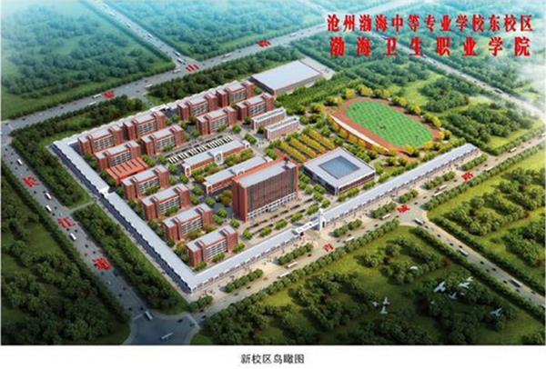 滄州渤海學院辦學特色有哪些？