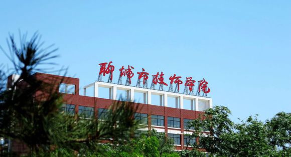 聊城市技師學院有計算機專業嗎？