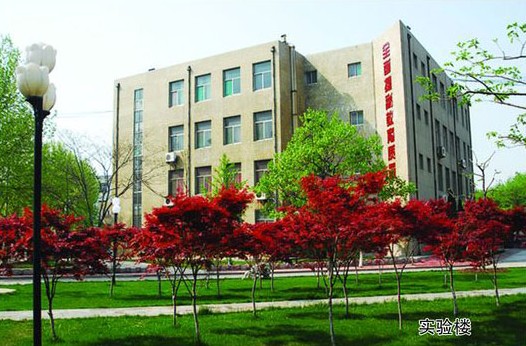 淄博市工業學校開設哪些計算機課程？